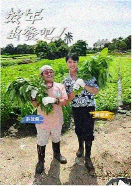 2012年影视墙材质特写装修效果图